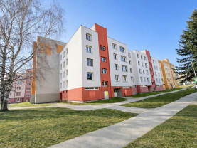 Pronájem bytu 1+1, 46 m², Jindřichův Hradec, ul. Hvězdná