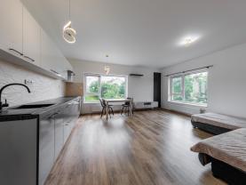 Pronájem bytu 3+kk, 67 m², Karlovy Vary, ul. Dubová