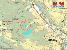 Prodej lesa, 8828 m², Olšany