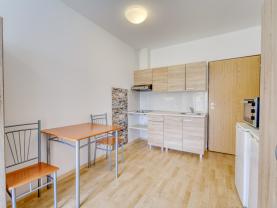 Pronájem bytu 1+1, 23 m², Plzeň, ul. Nepomucká