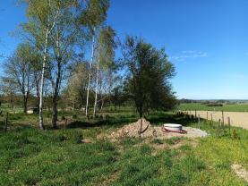 Pronájem zahrady, Sezemice