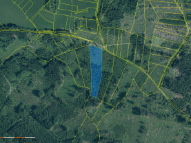 Prodej lesa, 11912 m², Kolinec