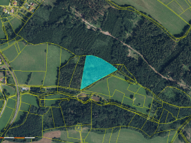 Prodej lesa, 15253 m², Libuň