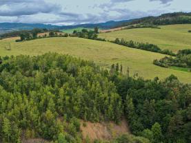 Prodej ostatní, 17275 m², Hrdlív