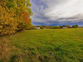 Prodej louky, 5700 m², Lužany