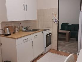Pronájem bytu 1+1, 34 m², Bohumín, ul. Šunychelská
