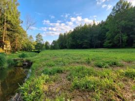 Prodej louky, 1522 m², Bor