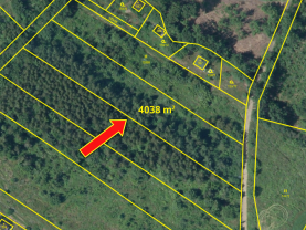 Prodej investičního pozemku 4 038 m² ve Velkých Popovicích