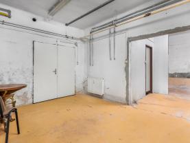 Prodej jiný nebytový prostor, 63 m², ul. Saskova