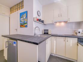 Prodej bytu 1+1, 30 m², Mariánské Lázně, ul. Mánesova