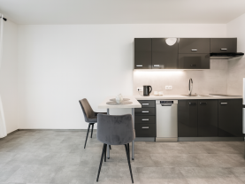 Prodej bytu 2+kk, 42 m², Děčín, ul. Závodní