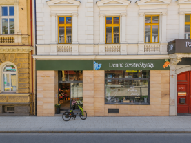 Pronájem obchod a služby, 145 m², Plzeň, ul. Americká