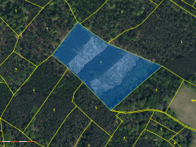 Prodej lesa, 24923 m², Jankovice