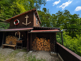 Prodej chaty, 56 m², Nezabudice