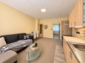 Pronájem bytu 1+1, 58 m², ul. Lidická, Česká Třebová