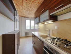 Prodej bytu 2+1, 62 m², Plzeň, ul. Elišky Krásnohorské