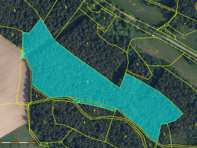 Prodej lesa, 35696 m², Bílá