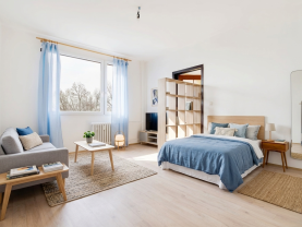 Prodej bytu 1+1, 36 m², DV, Jirkov, ul. K. Marxe