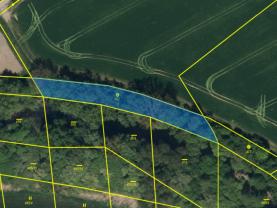 Prodej pozemku, 1158 m² v Živanicích