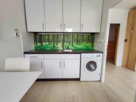 Prodej bytu 1+1, 26 m², Ostrava, ul. Bohumínská