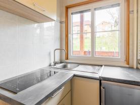Prodej bytu 1+kk, 49 m², Lipno nad Vltavou