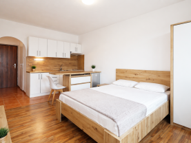 Prodej bytu 1+kk, 26 m², Karlovy Vary, ul. U Koupaliště