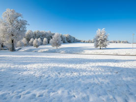 Prodej, pozemek, 1054 m2, Zlatá Koruna