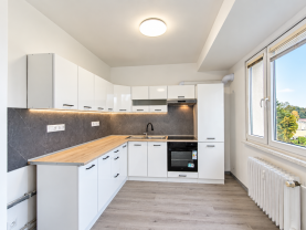 Prodej bytu 3+kk, 64 m², Bruntál, ul. K. H. Máchy