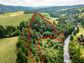 Prodej lesa, 36610 m², Peřimov