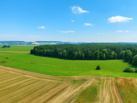 Prodej louky, 8286 m², Komárov u Soběslavi