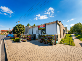 Prodej obchod a služby, 210 m², Měrunice