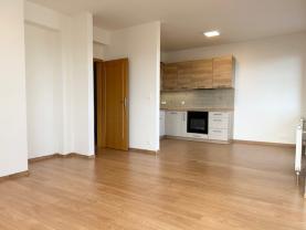 Pronájem bytu 2+kk, 64 m², Plzeň, ul. Plaská