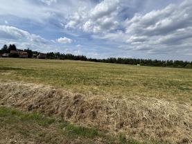 Prodej stavebního pozemku, 1972 m², Hradištko pod Medníkem