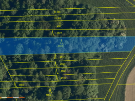 Prodej lesa, 1682 m², Hostišová