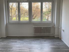Prodej bytu 1+kk, 20 m², Ostrava, ul. Krakovská