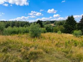 Prodej louky, 748 m², Mikuleč