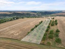 Prodej ovocného sadu, 5202 m², Kralupy nad Vltavou