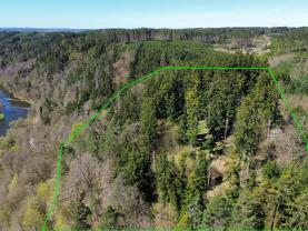 Prodej lesa, 39640 m², Řepeč