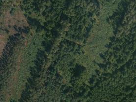 Prodej lesa, 32765 m², Libín