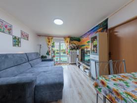 Prodej bytu 3+kk, 47 m², Horní Slavkov, ul. Zahradní