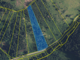 Prodej lesa, 12967 m², Nemile