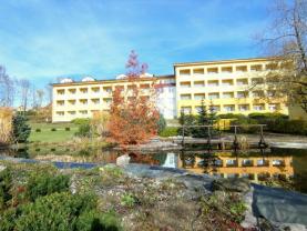 Prodej bytu 1+1, 42 m², Frymburk