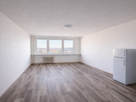 Pronájem bytu 1+kk, 28 m², Praha 10, ul. Hvozdíková