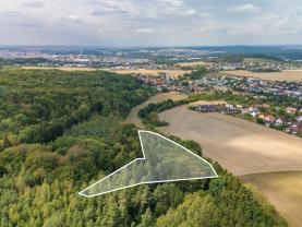 Prodej zahrady a lesa, 6522 m², Plzeň - Červený Hrádek