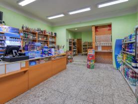 Prodej obchod a služby, Starý Plzenec-přenechání nájmu