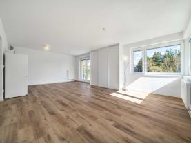 Pronájem bytu 2+kk, 61 m², Nepomuk, ul. Na Daníčkách