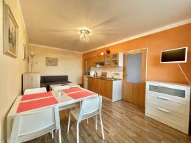 Pronájem bytu 1+1 v Teplicích, ul. Alejní