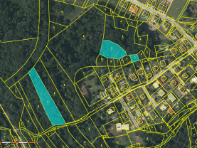 Prodej lesa, 5612 m², Hosín