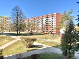 Pronájem bytu 2+1, 58 m², Jindřichův Hradec, sídl. Vajgar
