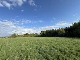 Prodej komerčního pozemku, 10254 m², Homole